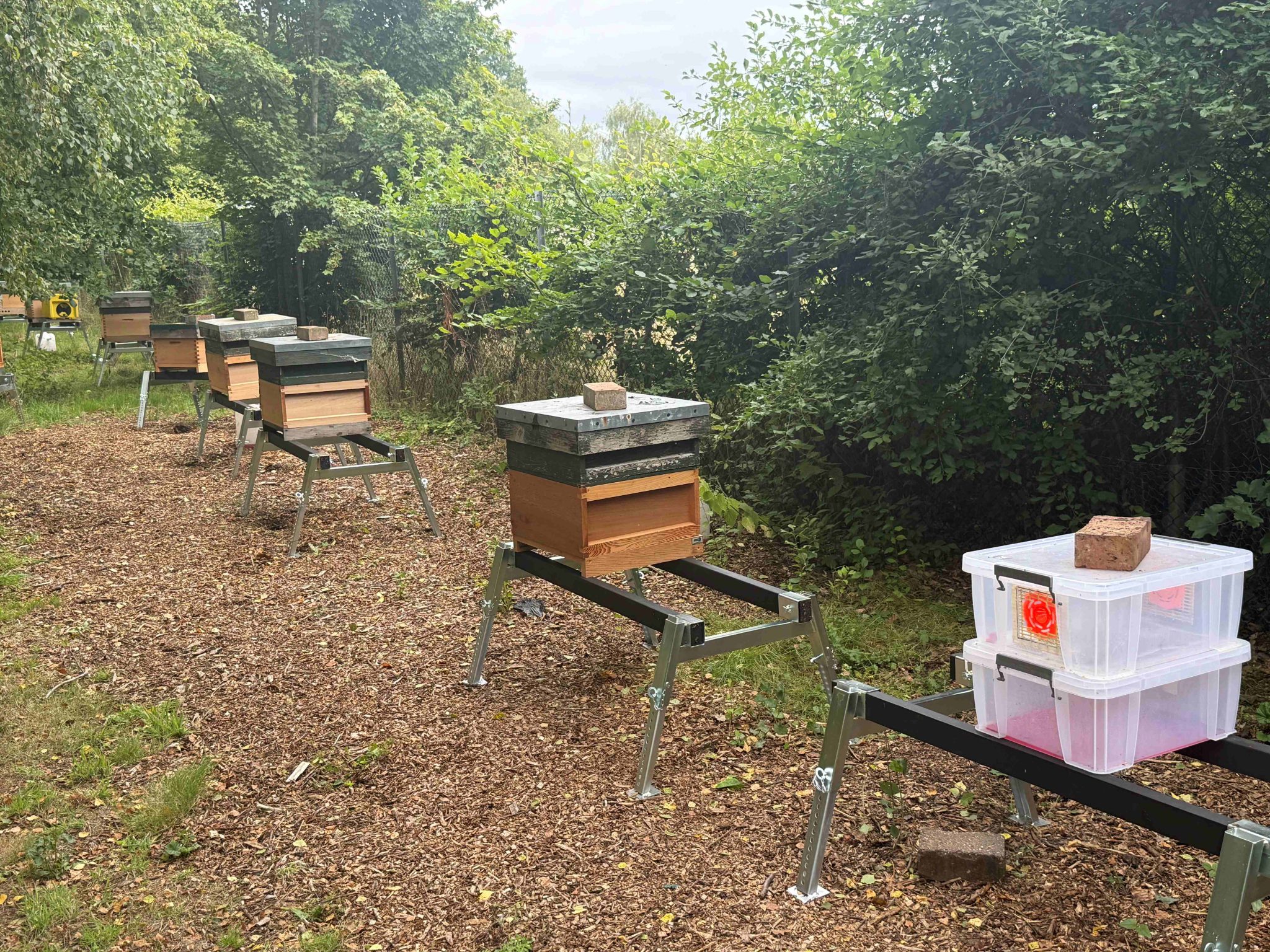 New hive stands at the apiary - Laddingford & District Beekeepers ...